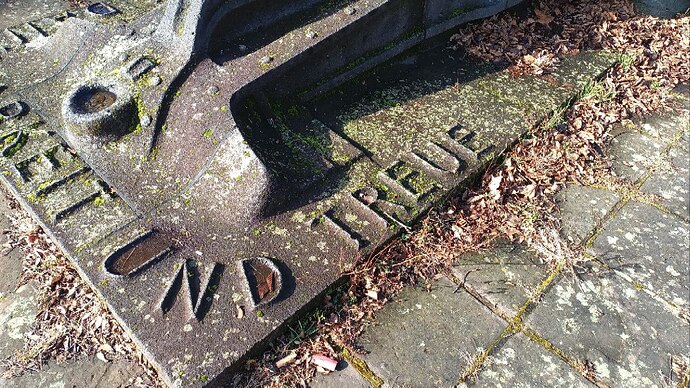 photo_2025-02-14_12-24-10