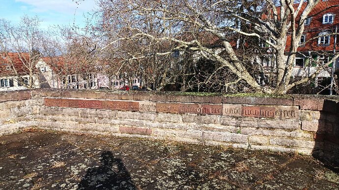 photo_2025-02-14_12-24-20