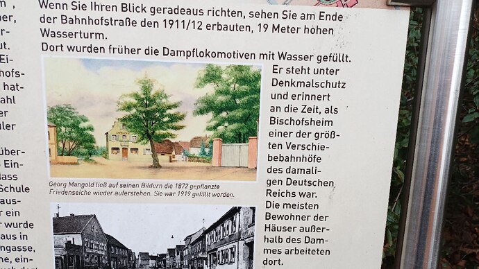 photo_4_2025-03-01_10-13-06