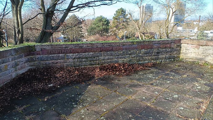 photo_2025-02-14_12-24-22