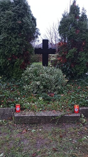 IMG_20251116_154525_982