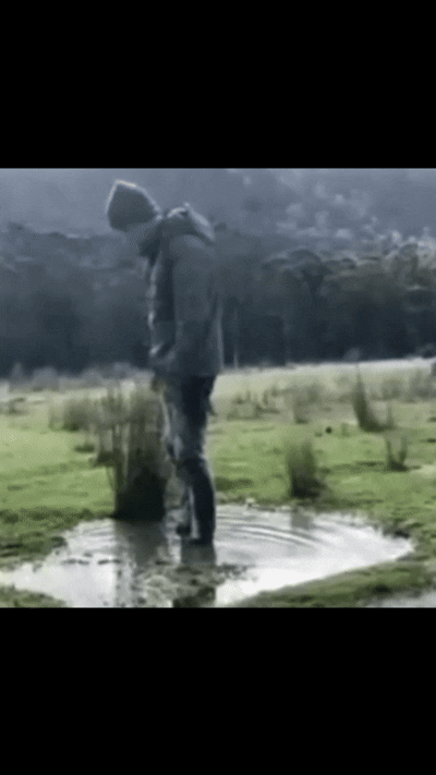 Platsch2gif